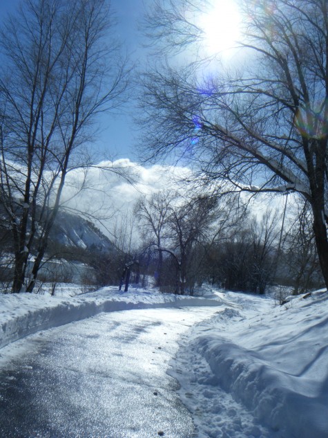 The Durango River Trail