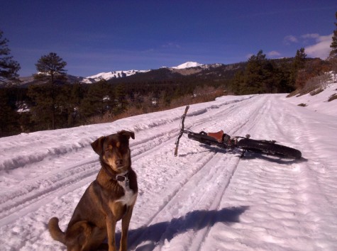 The lowe gate on junction creek rd is closed, but it has been plowed up to log chutes. The lower section is packed snow or frozen mud (if you start early). After log chutes the snow mobiles have put down a solid base. If you don't have a "fat bike" put your atb tires down to 20 psi and get an early start. You'll be able to ride for miles and miles. Start early!