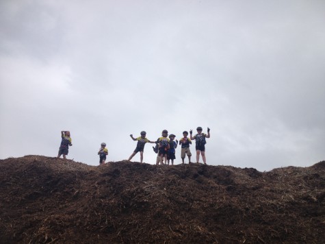 Junior Devo's historically have loved the bark chip pile. Even if it gives ya the itchy-poos!